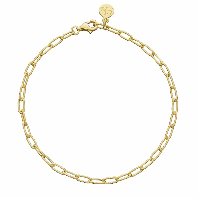 Luxury Chamm BraceletsGold Plated Oval Link Charm Bracelet