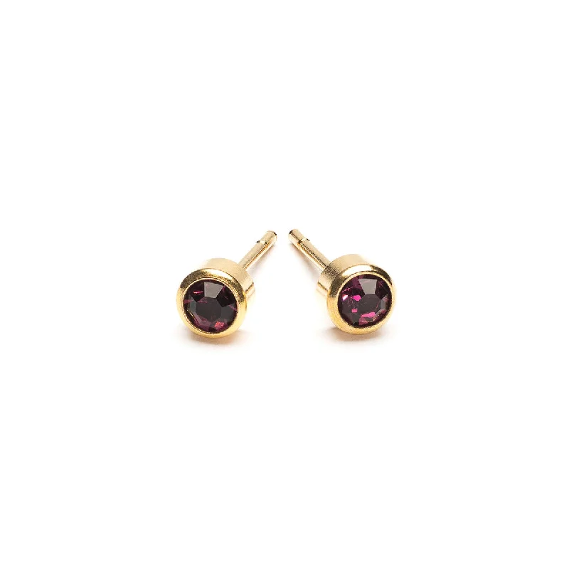 Magnetic - Back Stud Earrings in Black for Easy and Comfortable WearFebruary Birthstone 14k Gold Plated Earrings