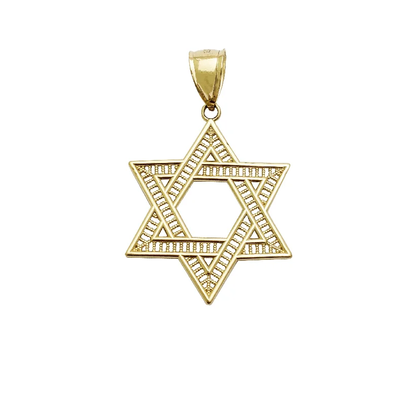 Double - Heart Pendant with Interlocking Design for CouplesStar Of David Pendant (14K)